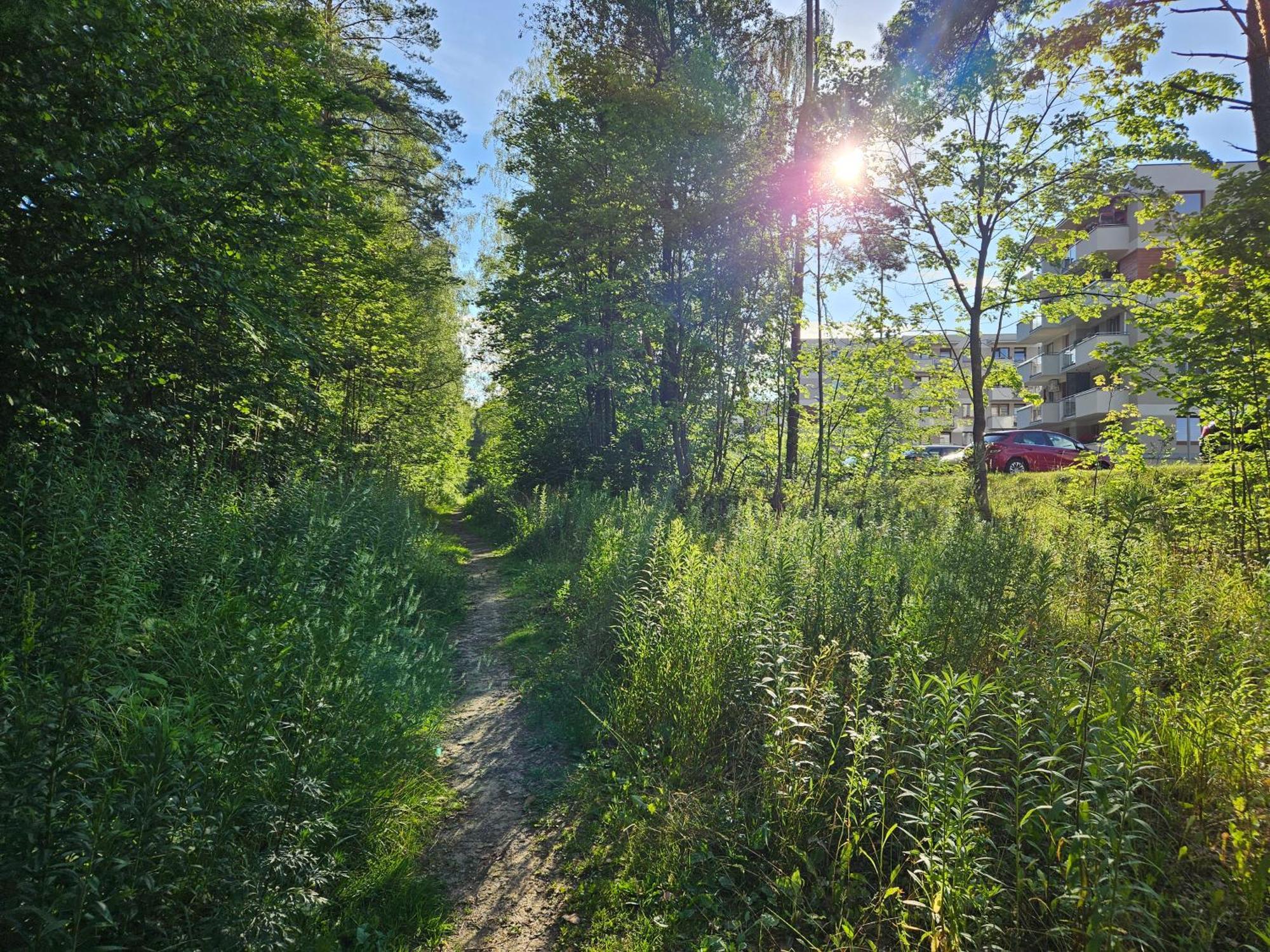 Ferienwohnung Apartament Oaza Na Sterowcow Dywity Exterior foto